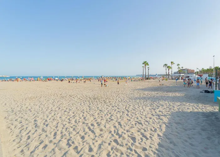 133 Pinoso Wondeful - Alicante Lägenhet *